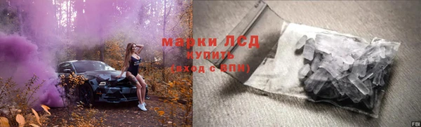 ПСИЛОЦИБИНОВЫЕ ГРИБЫ Корсаков