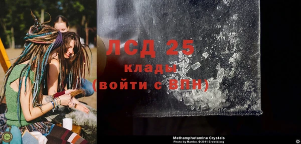 сатива Козельск