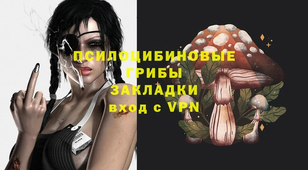 ПСИЛОЦИБИНОВЫЕ ГРИБЫ Корсаков