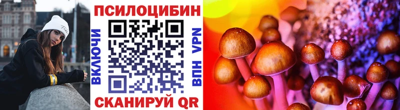 Купить закладки  Волгоград  Галлюциногенные грибы Psilocybe 